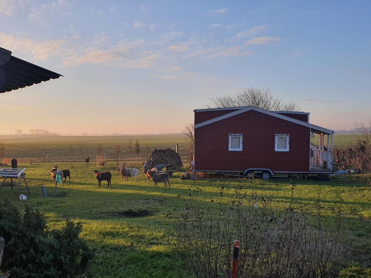 Willa Tiny House Schonbeck  Zewnętrze zdjęcie